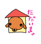 ウチのMダックス♪（個別スタンプ：31）