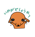 ウチのMダックス♪（個別スタンプ：34）