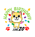 柴犬の誕生日おめでとう 6月（個別スタンプ：20）