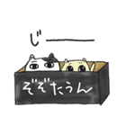 箱猫マックス Vol.5（個別スタンプ：40）