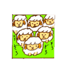 ひつじごいっこう（個別スタンプ：30）