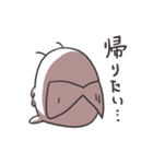 せみっぽい生き物（個別スタンプ：37）