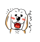 ビーグル犬ジン君10歳（個別スタンプ：2）