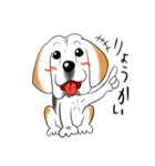 ビーグル犬ジン君10歳（個別スタンプ：3）