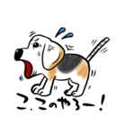 ビーグル犬ジン君10歳（個別スタンプ：9）