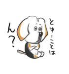ビーグル犬ジン君10歳（個別スタンプ：10）