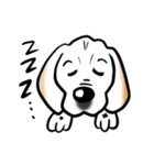 ビーグル犬ジン君10歳（個別スタンプ：11）