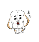 ビーグル犬ジン君10歳（個別スタンプ：16）