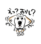 ビーグル犬ジン君10歳（個別スタンプ：26）