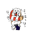 ビーグル犬ジン君10歳（個別スタンプ：28）