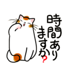 和風猫<十二>（個別スタンプ：24）