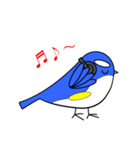 ルリビタキちゃん 休日向け（個別スタンプ：13）