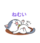 使いやすい基本のネコスタンプ（個別スタンプ：30）
