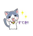 使いやすい基本のネコスタンプ（個別スタンプ：36）