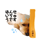 気持ちのスタンプ(クオン編)（個別スタンプ：2）