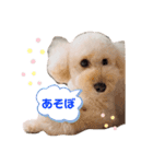 気持ちのスタンプ(クオン編)（個別スタンプ：4）