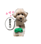 気持ちのスタンプ(クオン編)（個別スタンプ：6）