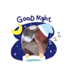 IKUTO's stamp2（個別スタンプ：2）
