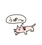 なにかと雑なアニマル(白縁取りナシ)（個別スタンプ：21）
