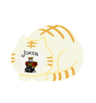 猫ちゃんカード（個別スタンプ：5）