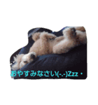 ハッピースマイル4（個別スタンプ：3）