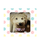 ハッピースマイル5（個別スタンプ：8）