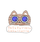 とらねこGO！（個別スタンプ：1）