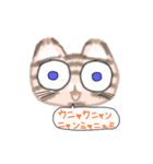 とらねこGO！（個別スタンプ：2）