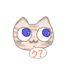 とらねこGO！（個別スタンプ：3）