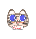 とらねこGO！（個別スタンプ：8）