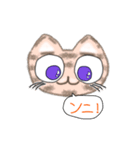 とらねこGO！（個別スタンプ：18）