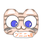 とらねこGO！（個別スタンプ：19）