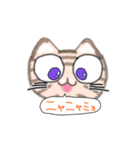 とらねこGO！（個別スタンプ：20）