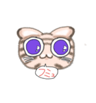 とらねこGO！（個別スタンプ：22）