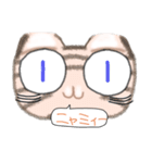 とらねこGO！（個別スタンプ：24）