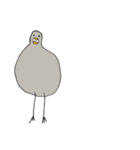 コミニュケーション鳥（個別スタンプ：13）