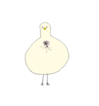 コミニュケーション鳥（個別スタンプ：35）