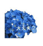 シンプルなお花のスタンプ（個別スタンプ：3）