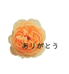 シンプルなお花のスタンプ（個別スタンプ：4）