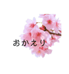 シンプルなお花のスタンプ（個別スタンプ：5）