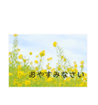 シンプルなお花のスタンプ（個別スタンプ：8）