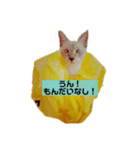 ちゃちゃしら✩.*˚（個別スタンプ：2）