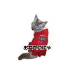 ちゃちゃしら✩.*˚（個別スタンプ：5）