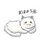 ゆるふわねこのスタンプ（個別スタンプ：1）