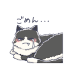 ゆるふわねこのスタンプ（個別スタンプ：4）