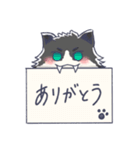 ゆるふわねこのスタンプ（個別スタンプ：5）