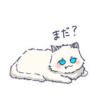 ゆるふわねこのスタンプ（個別スタンプ：6）