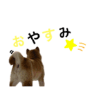 まいねーむいずれん（個別スタンプ：4）