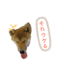 まいねーむいずれん（個別スタンプ：7）