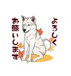 紀州犬のスタンプ（個別スタンプ：2）